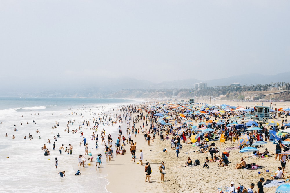 people on beach during daytime