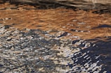 A chaotic interplay of reflected light creates an abstract pattern on the surface of water. The image captures the distortion of various colors, including brown, black, and white, in wavy motion.