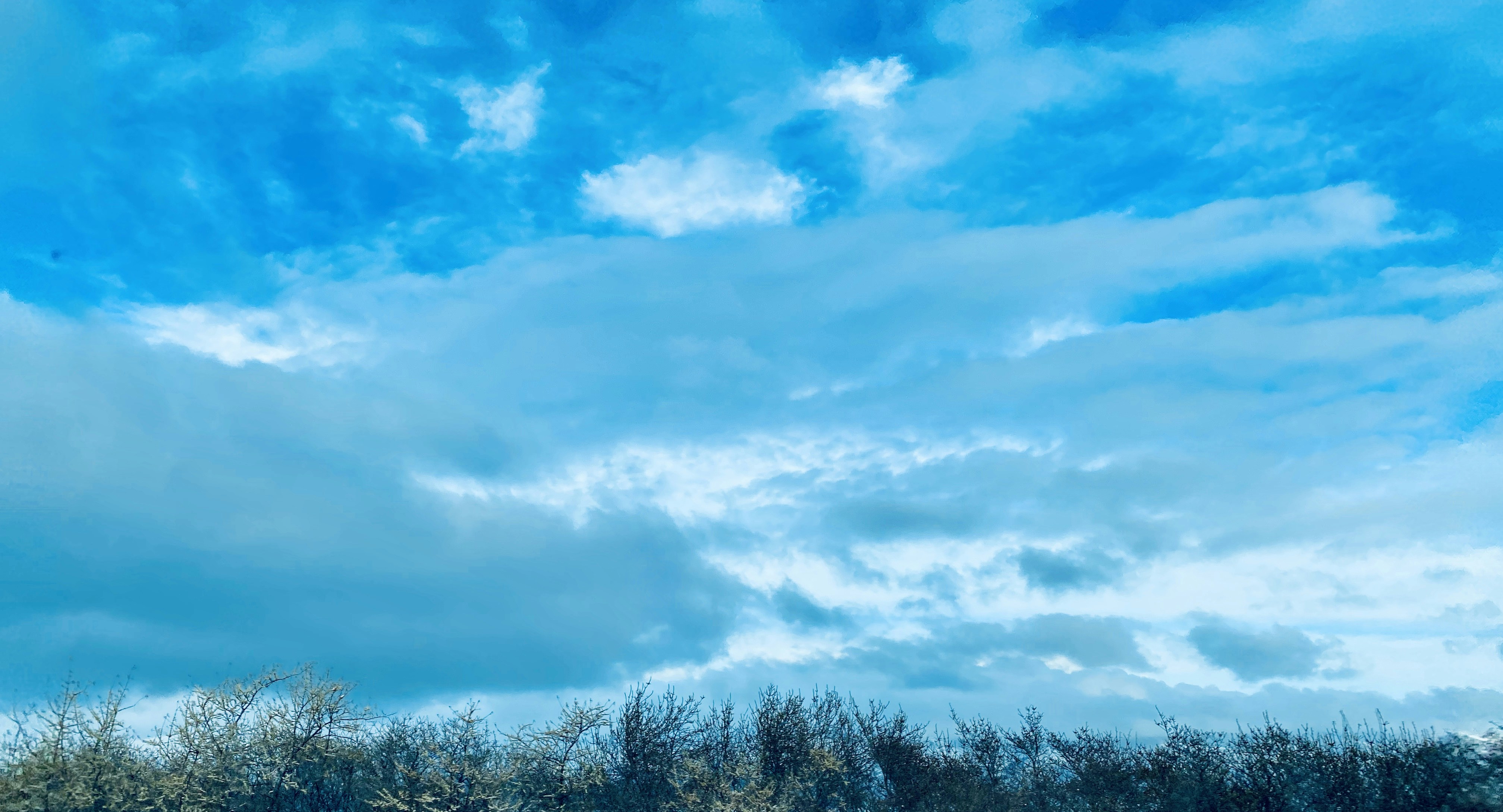 Photo by isakhanyansergey