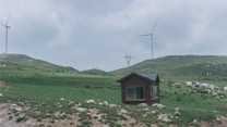 A small wooden hut is situated in a vast green landscape with rolling hills. Two large wind turbines tower over the scene in the background, along with utility poles that run across the hills. The sky is overcast, adding a muted tone to the setting.