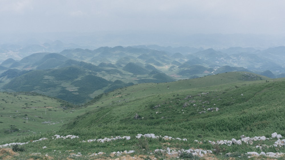 green grass field and mountains during daytime