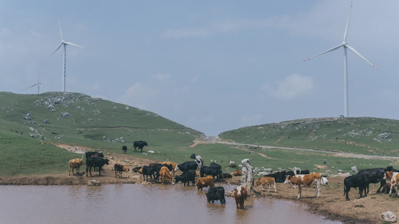 Restoring Living Soil: The Heart of Regenerative Agriculture