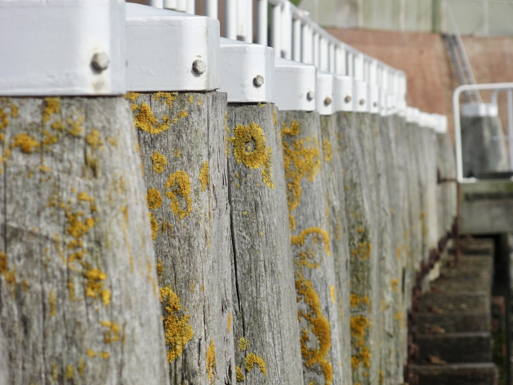 brown and gray wooden fence