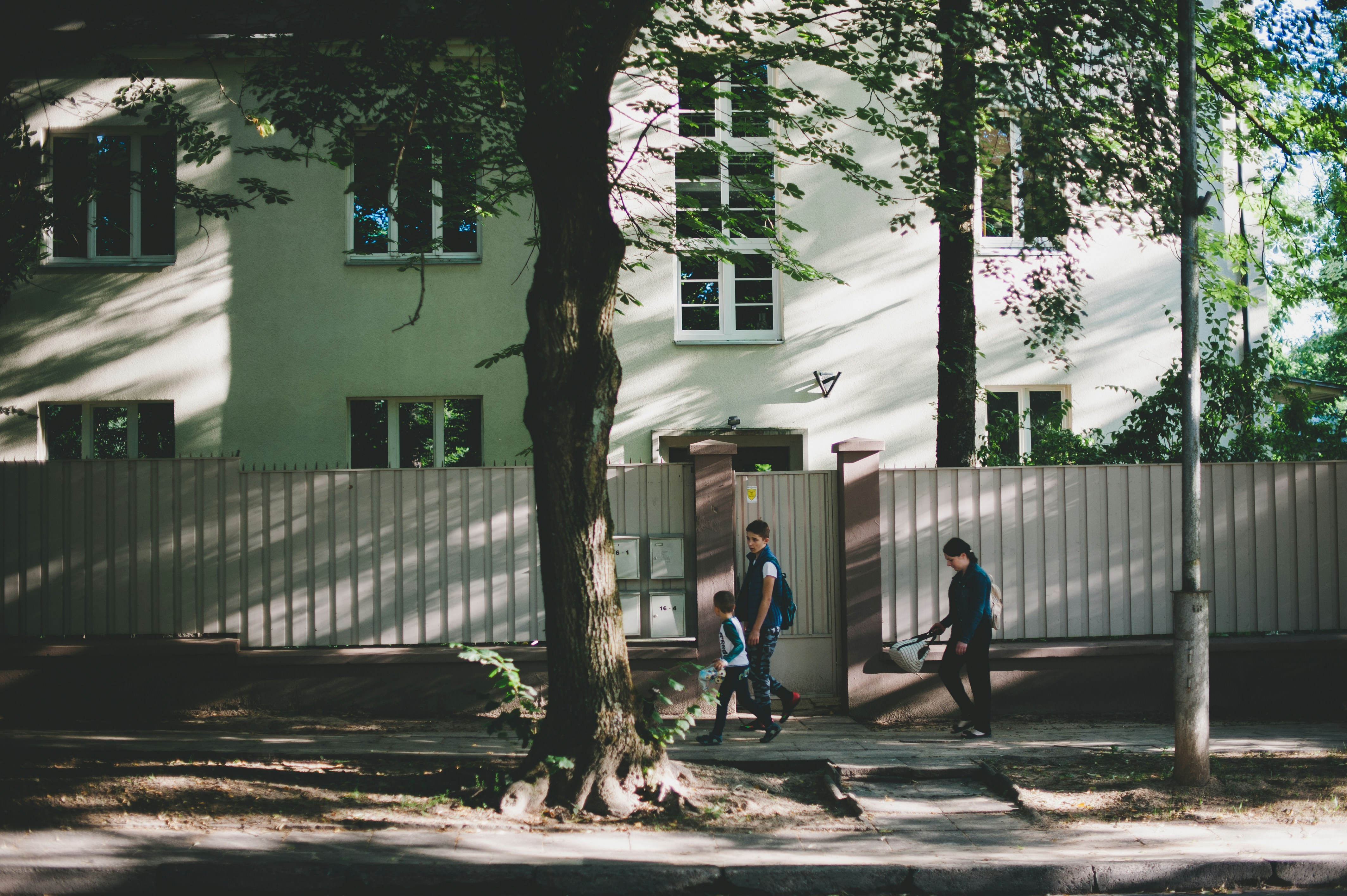man in blue t-shirt and black pants walking beside green tree during daytime