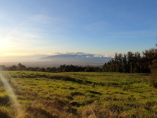 green grass field under blue sky during daytime in Haleakalā National Park United States