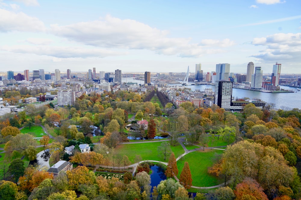 aerial view of city buildings during daytime