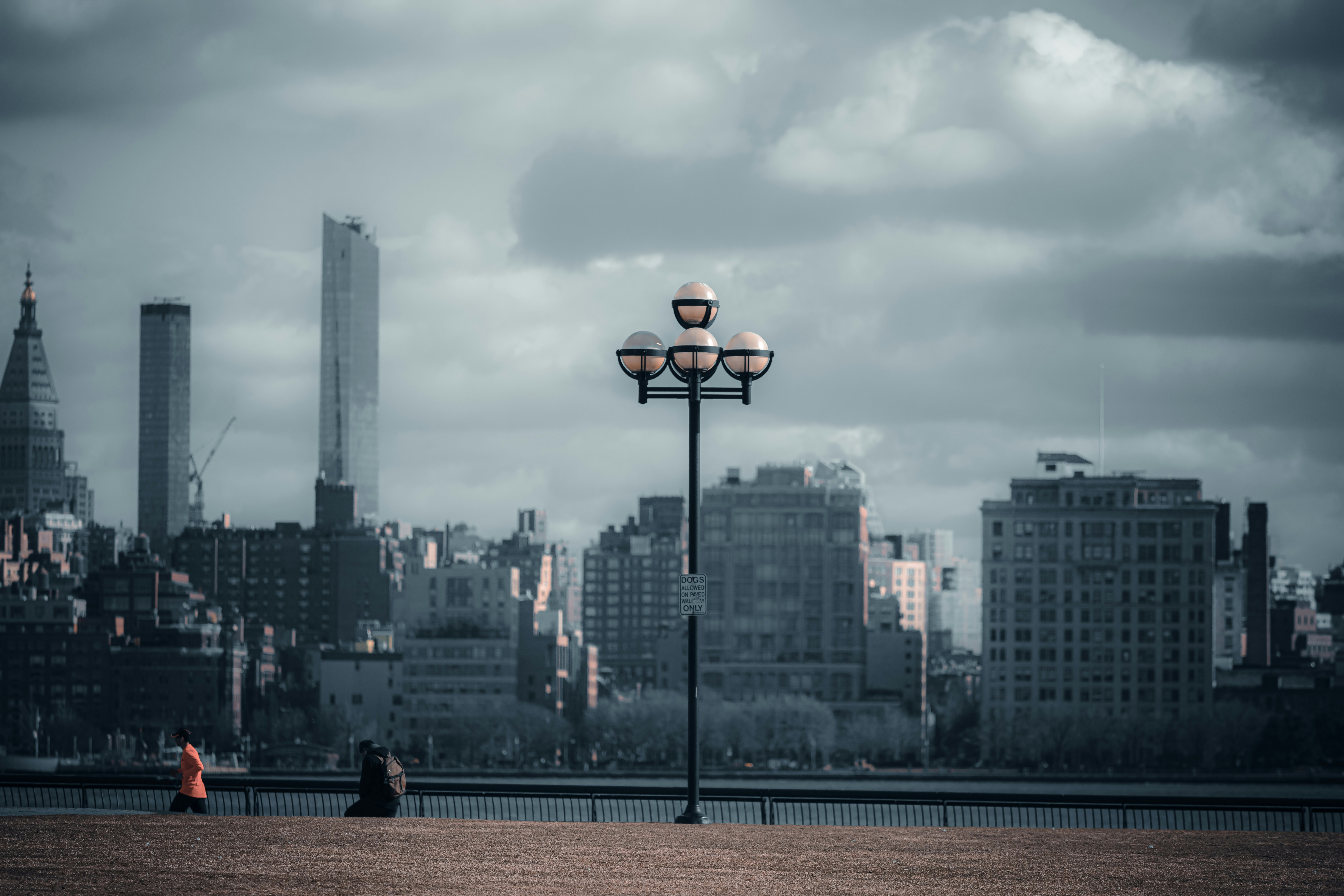 Photo by ymoran