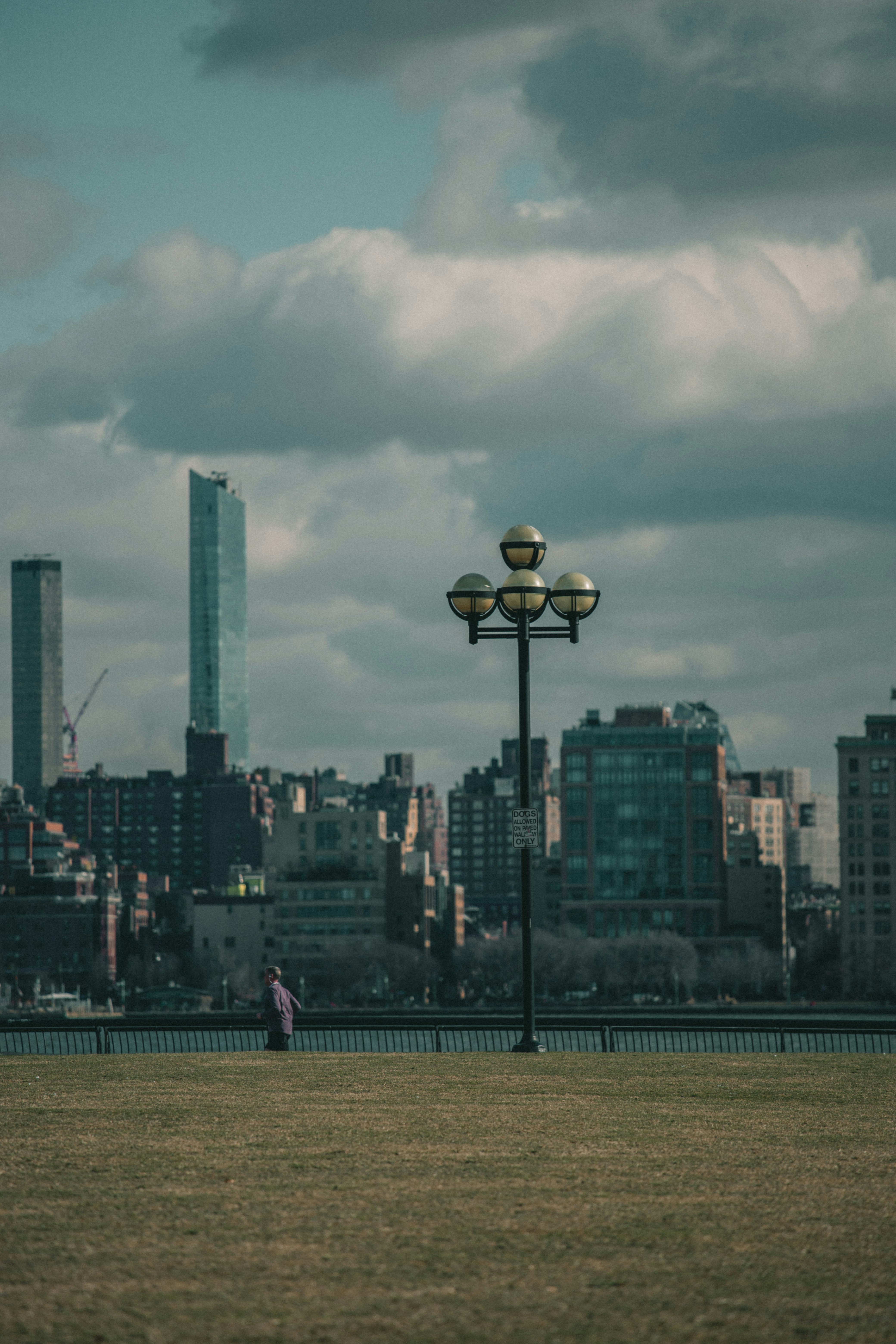 Photo by ymoran