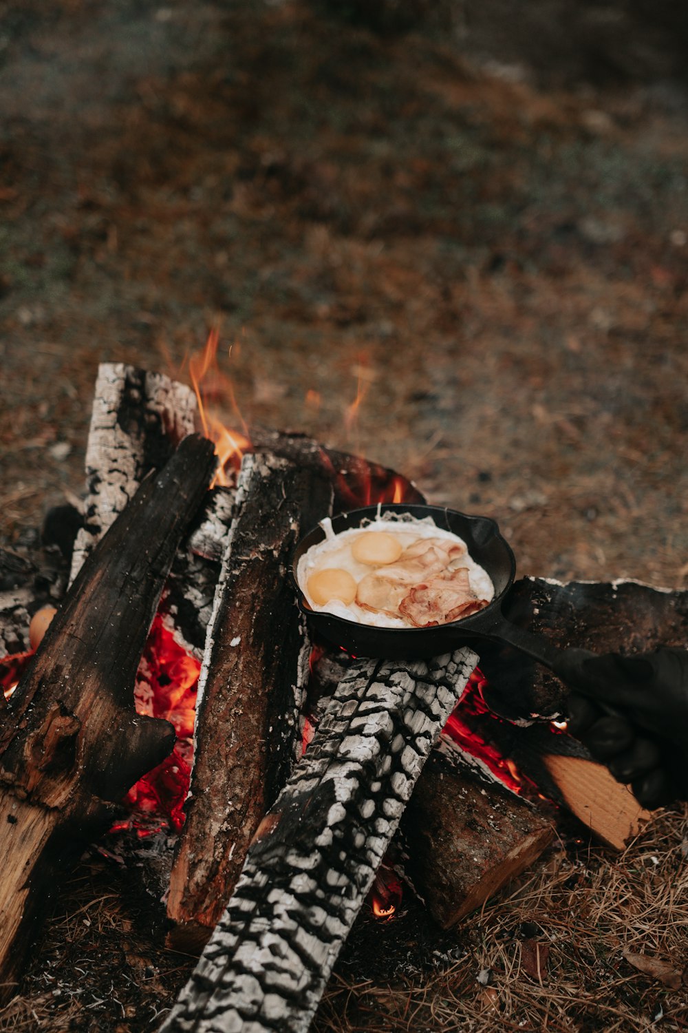 burning wood on fire pit