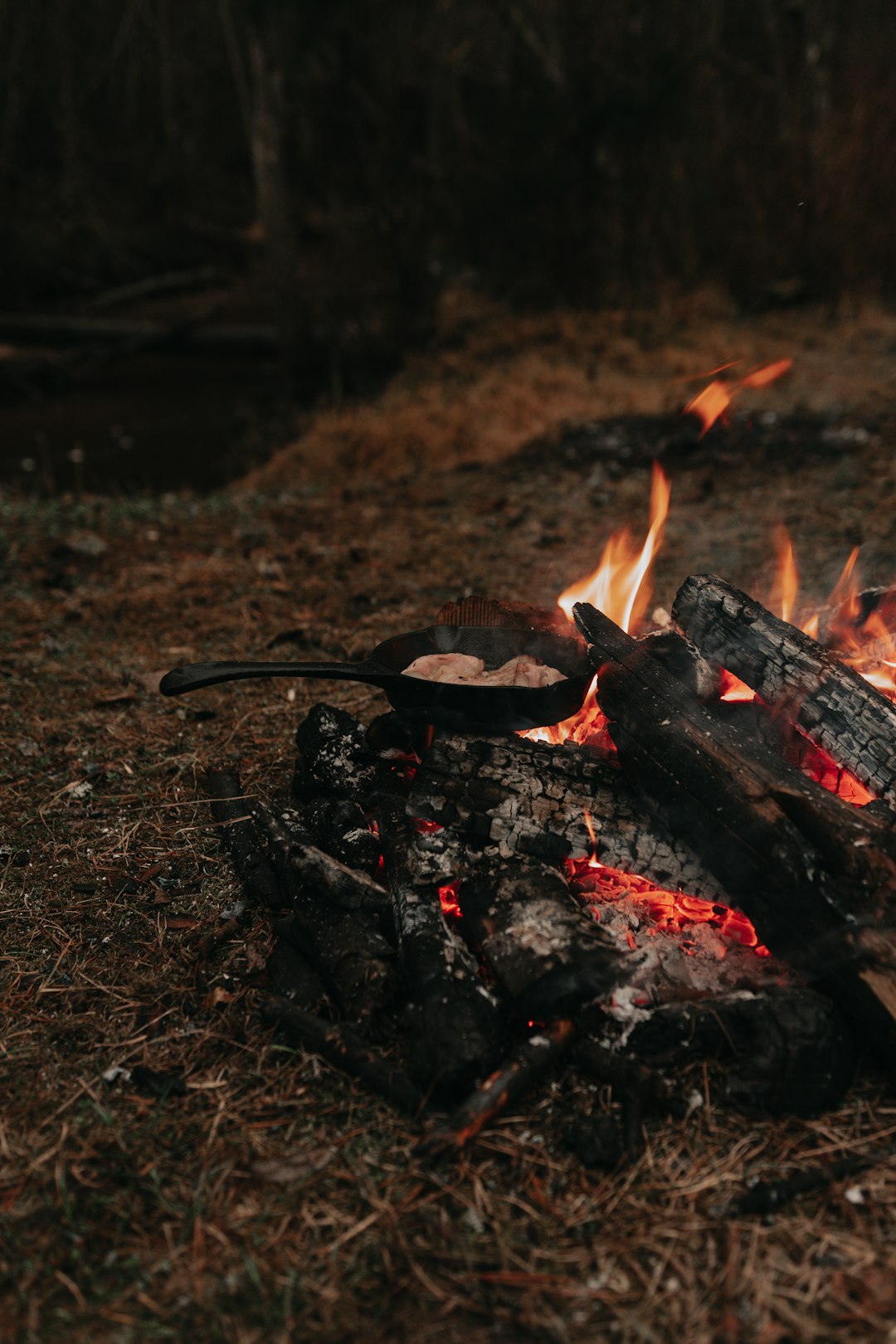 burning wood on brown grass field