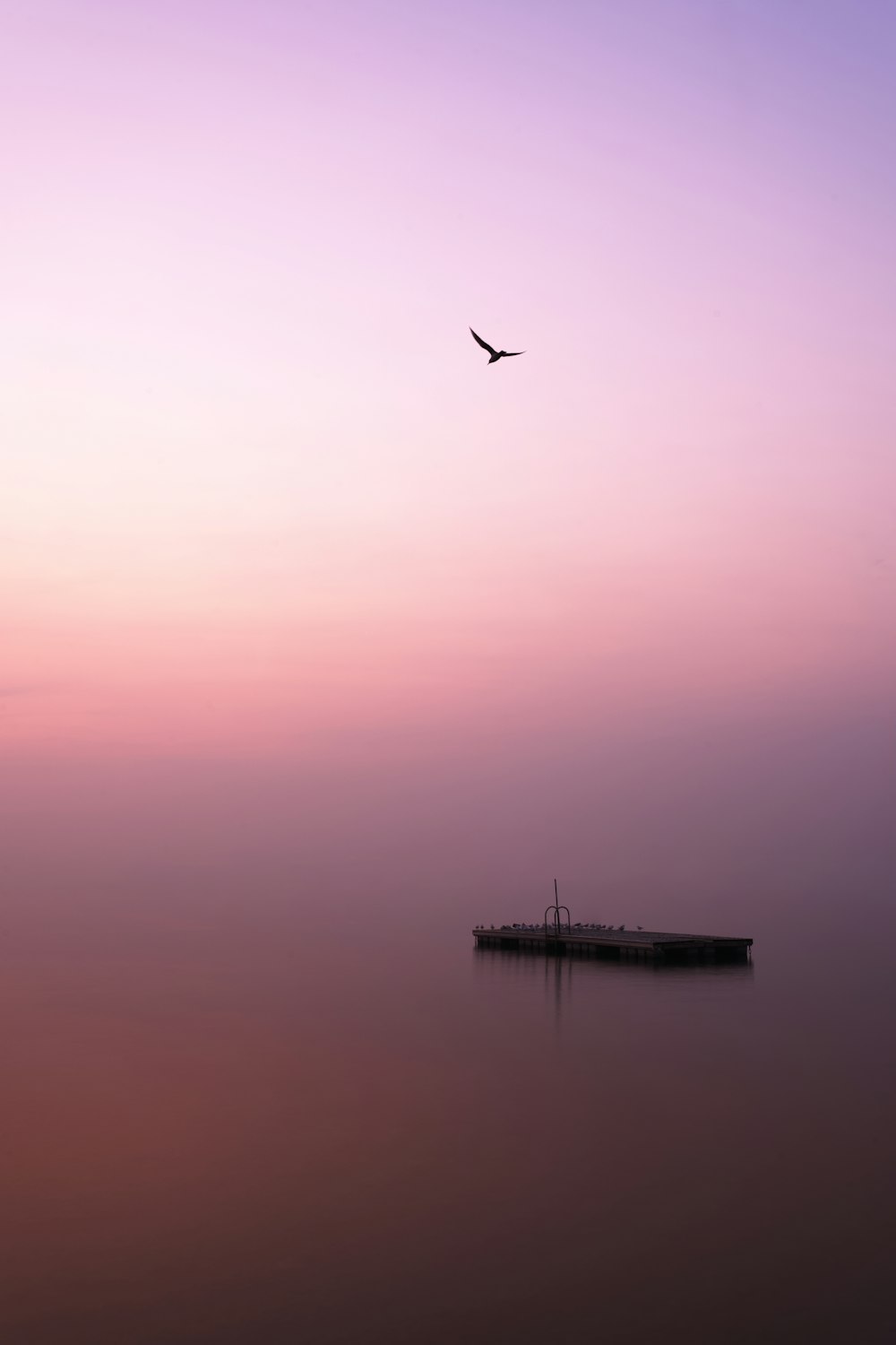 bird flying over body of water during daytime