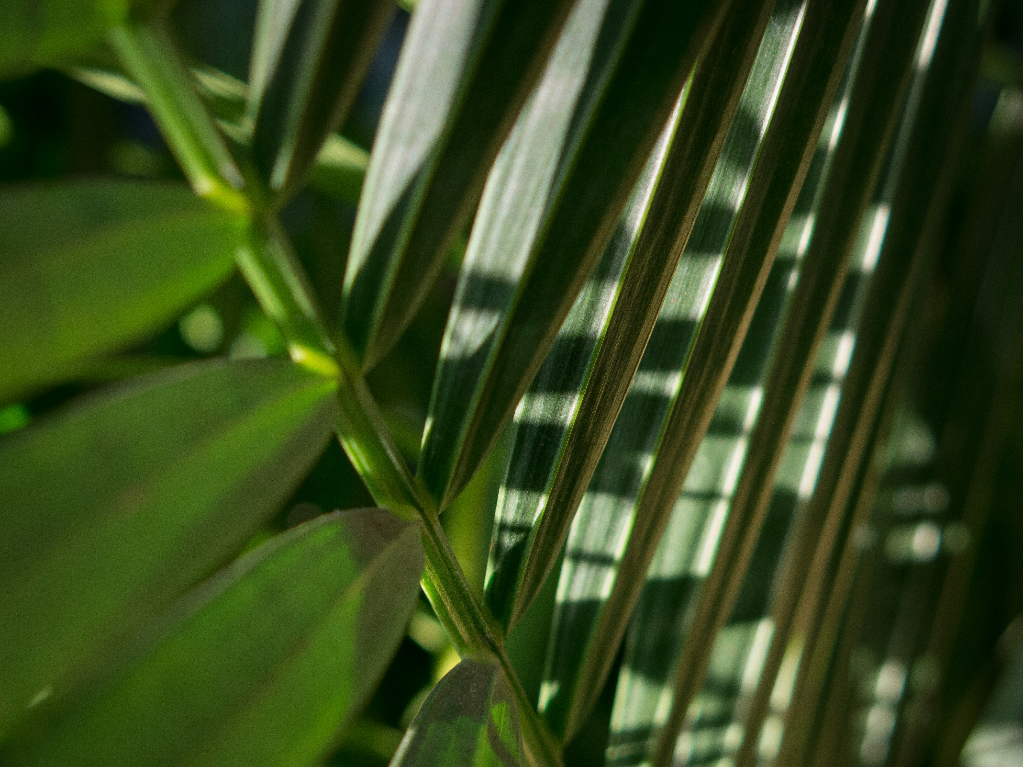 Photo by elizabeth_kay