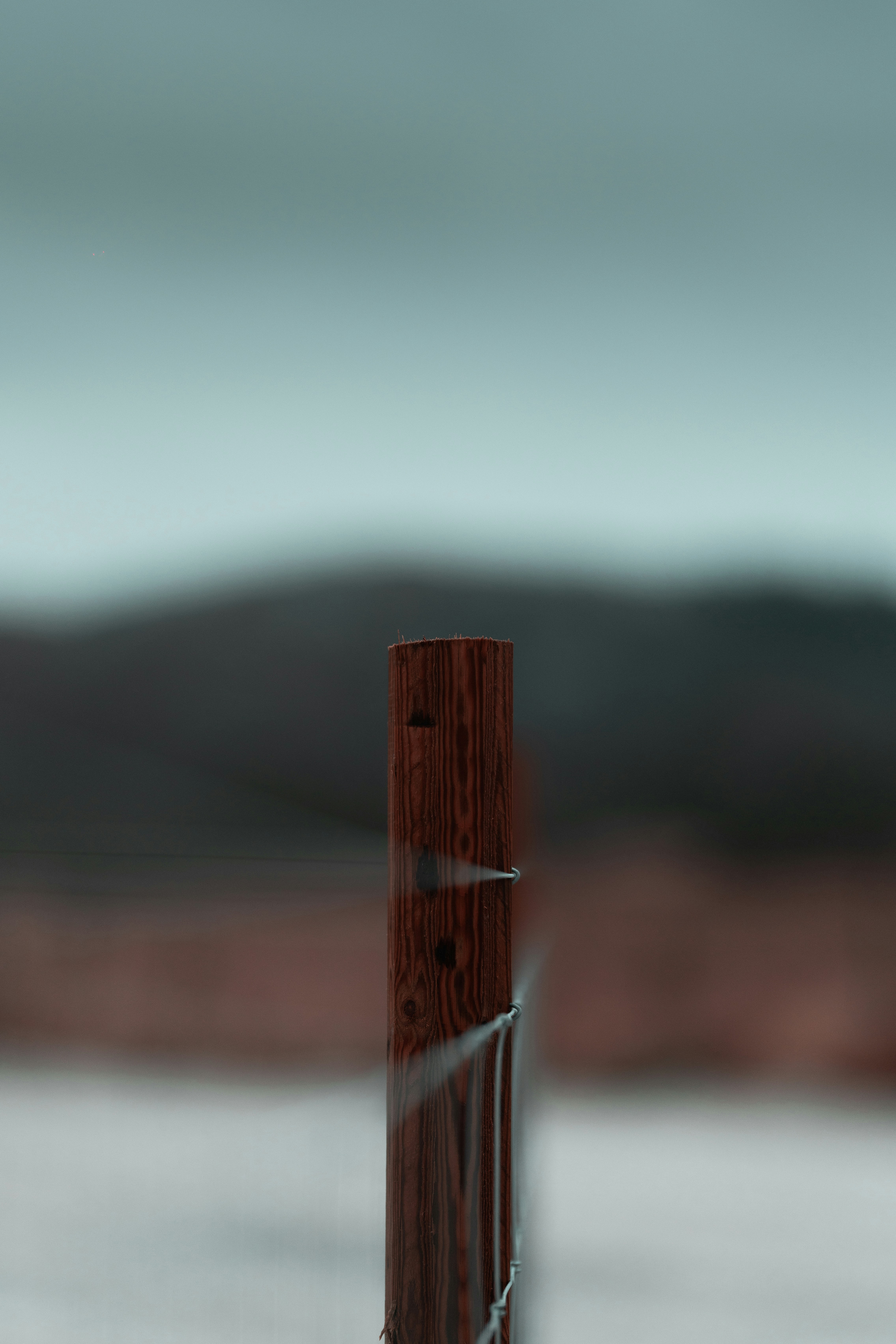 photo-1580070024506-861b33827d88?ixid=M3wxMjA3fDB8MXxzZWFyY2h8Nnx8JUUwJUI4JUFBJUUwJUI4JUE1JUUwJUI5JTg3JUUwJUI4JUFEJUUwJUI4JTk1fGVufDB8fHx8MTc1NDMxMjAxMXww\u0026ixlib=rb-4.1.0