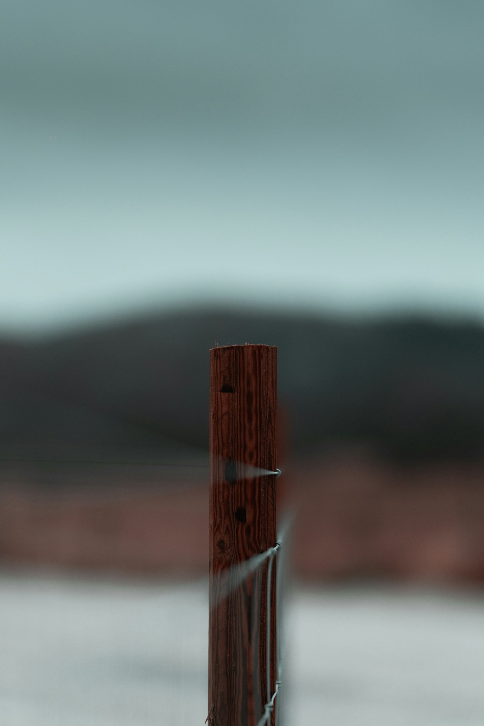 Sigma 105mm F1.4 DG HSM Art sample photo. Brown wooden fence during photography