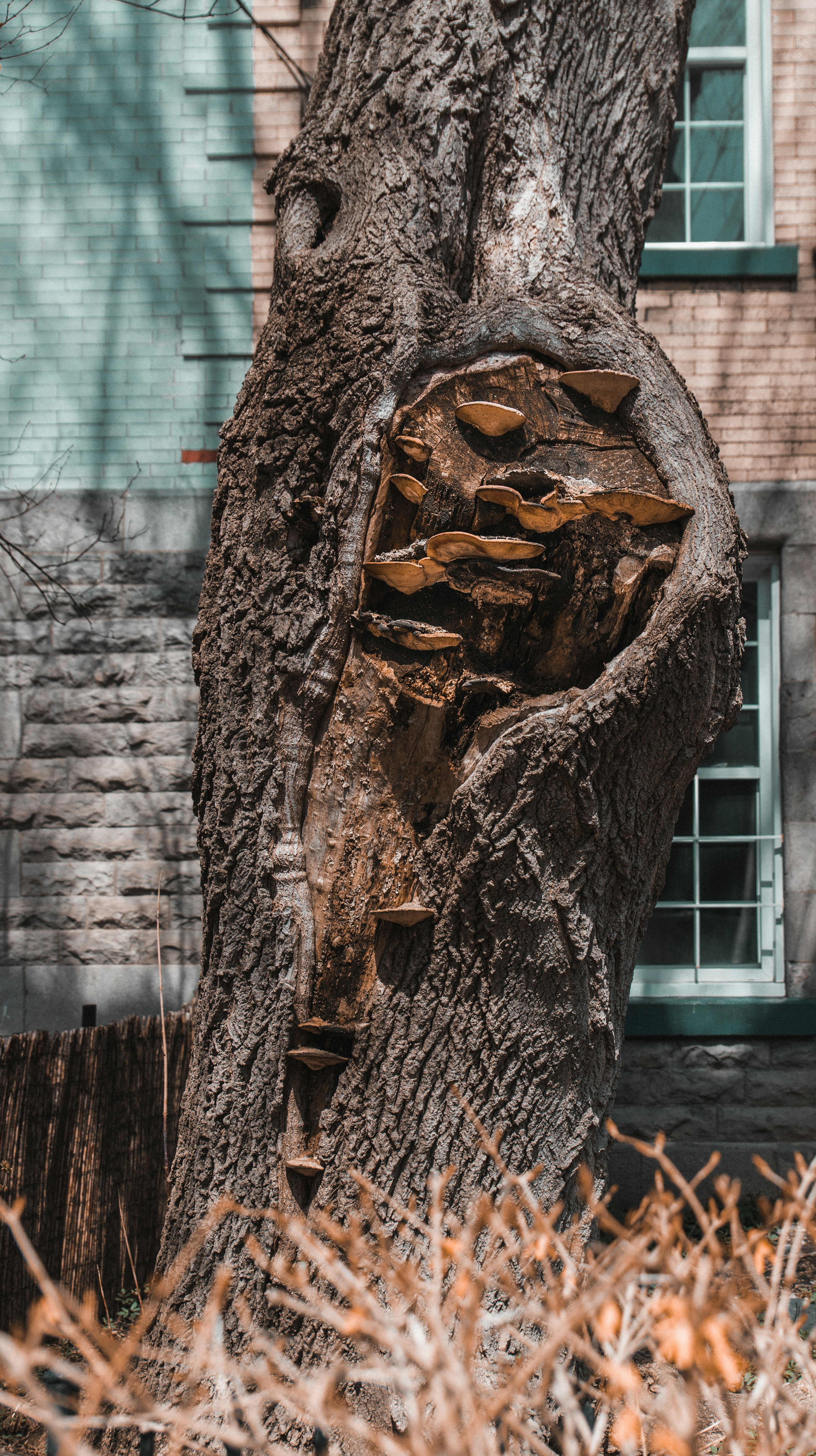 Photo by jusdevoyage