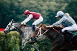 A jockey urging a racehorse forward as they thunder down the final stretch of a racetrack.