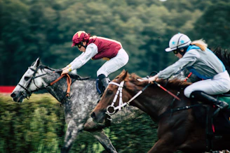 Close-up of a jockey urging a horse forward during a fast-paced race.