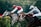 Two jockeys race side by side on horseback, focusing intently on the finish line. The horse on the left is gray, ridden by a jockey in a red outfit with a helmet. The horse on the right is brown, ridden by a jockey dressed in a light-colored suit and helmet. The background is a blurred green, indicating motion and speed.