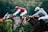 Two jockeys race side by side on horseback, focusing intently on the finish line. The horse on the left is gray, ridden by a jockey in a red outfit with a helmet. The horse on the right is brown, ridden by a jockey dressed in a light-colored suit and helmet. The background is a blurred green, indicating motion and speed.