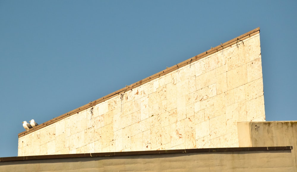 white concrete wall under blue sky during daytime