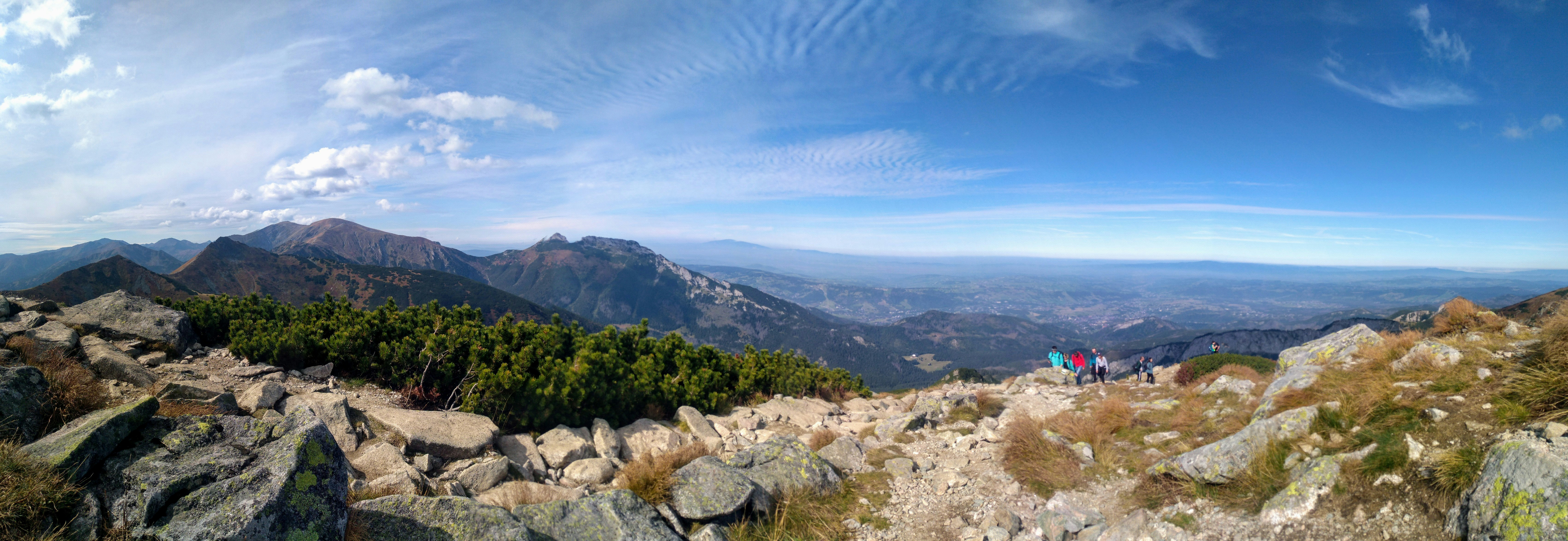 green trees on mountain under blue sky during daytime astonishing teams background