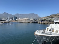 white boat on dock near city buildings during daytime