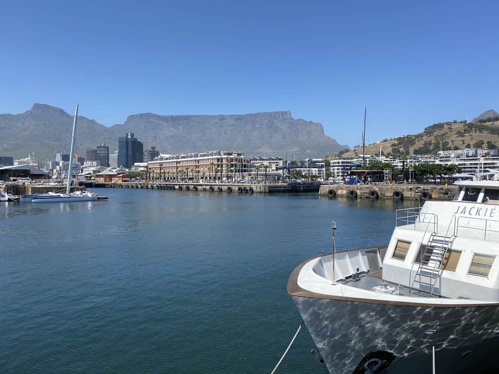 white boat on dock near city buildings during daytime