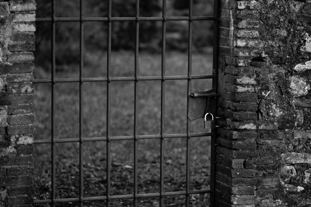 foto in scala di grigi della recinzione metallica