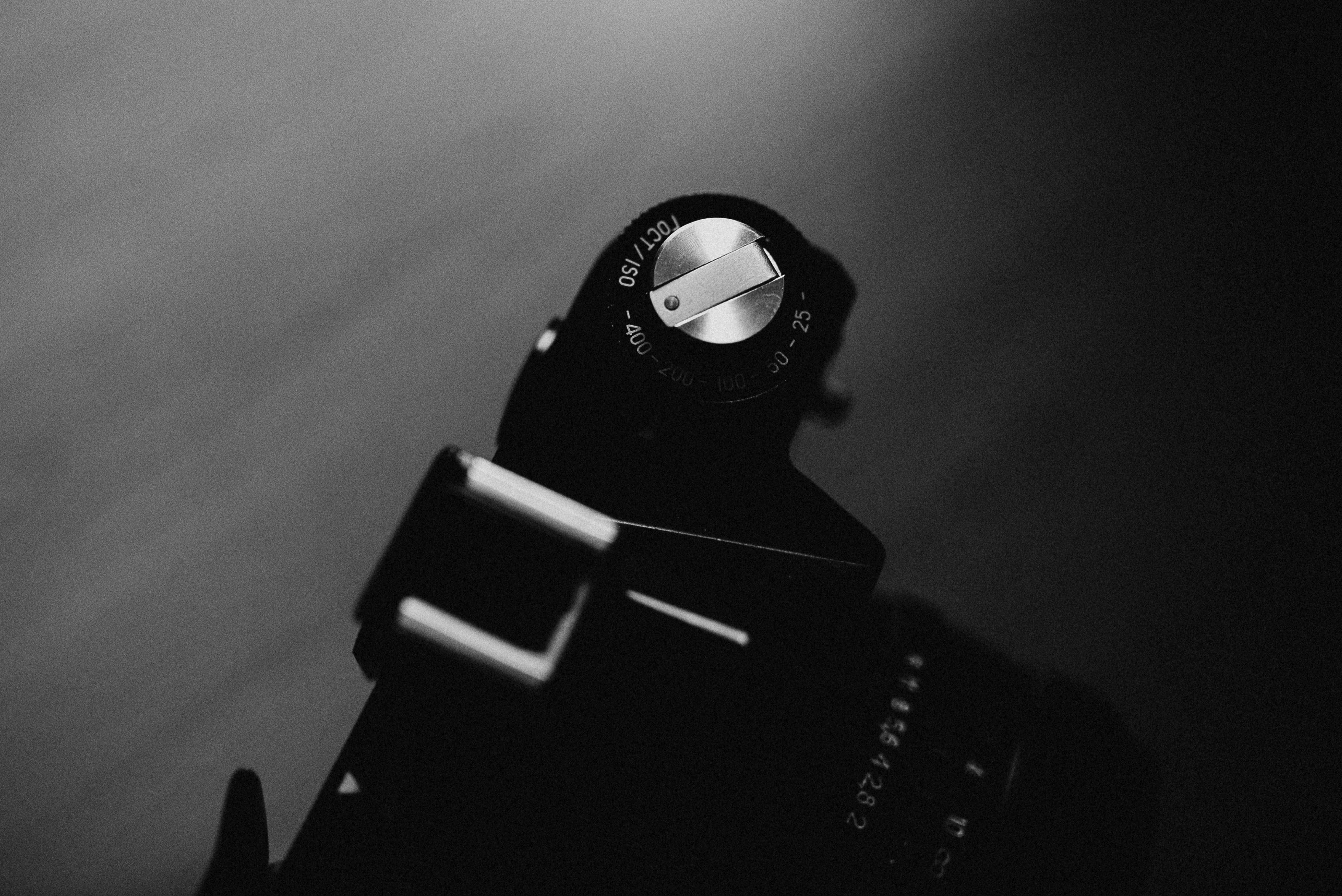 Photo by barnikakovacs