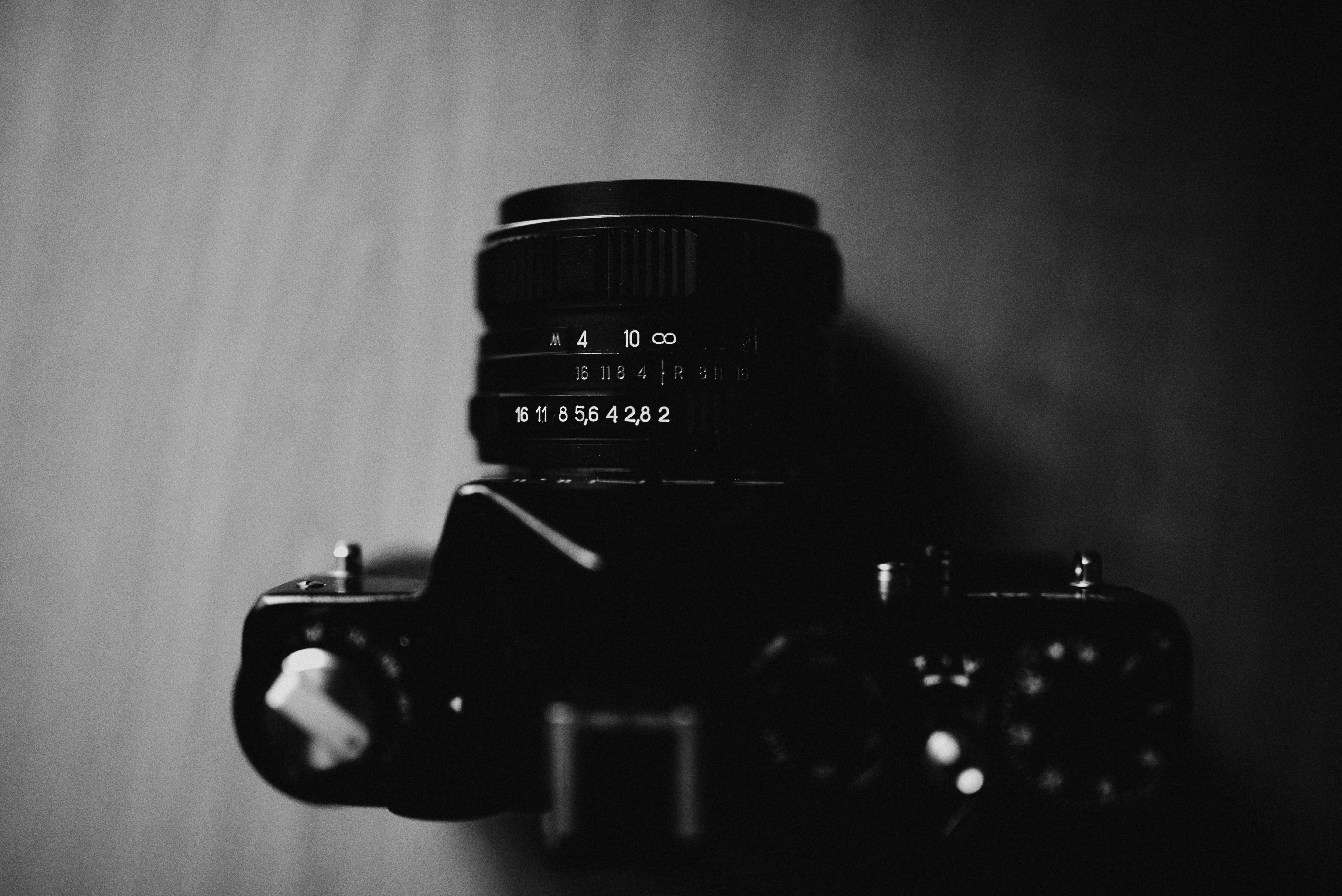 Photo by barnikakovacs