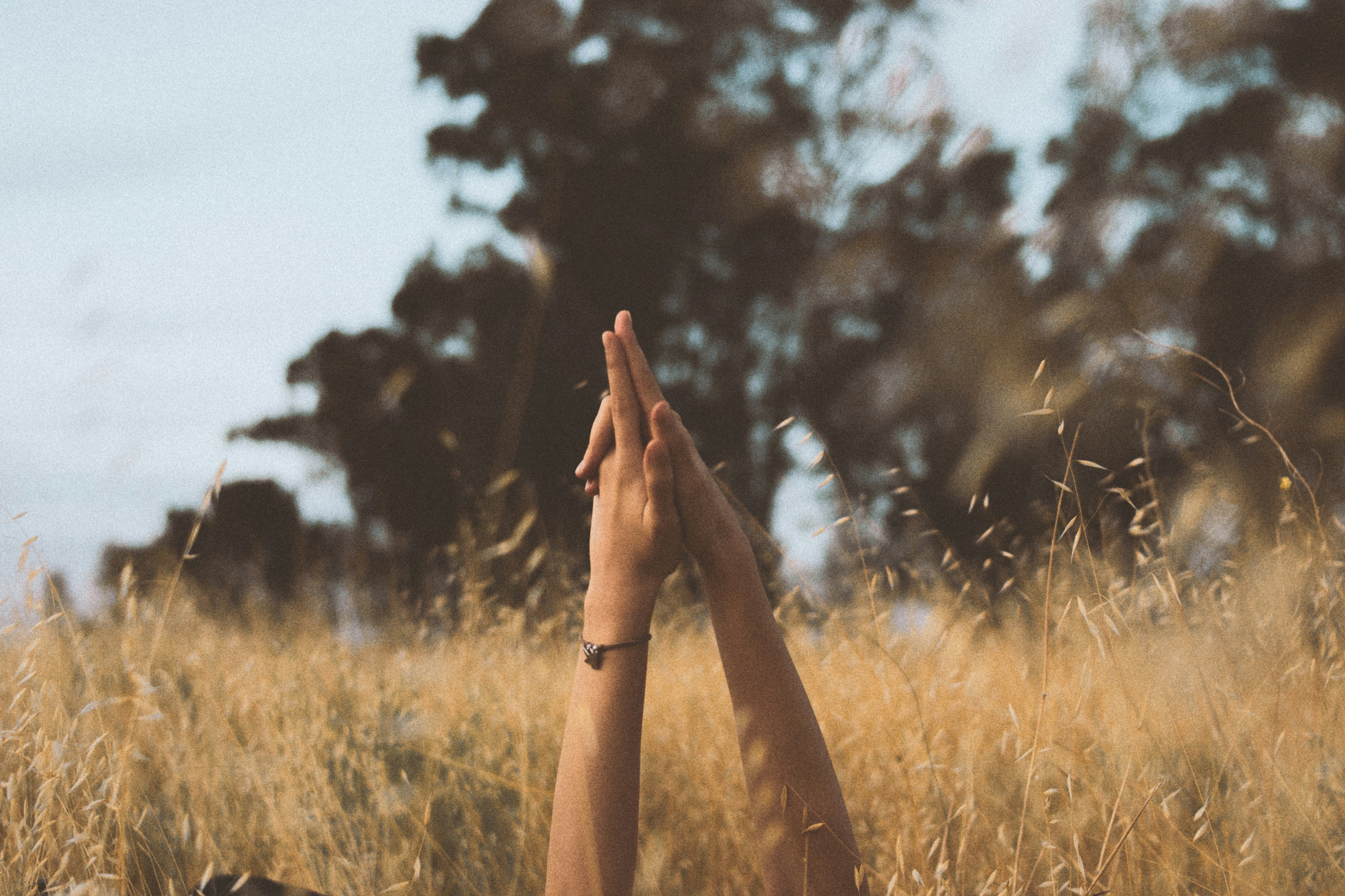 Photo by agustinfernandez