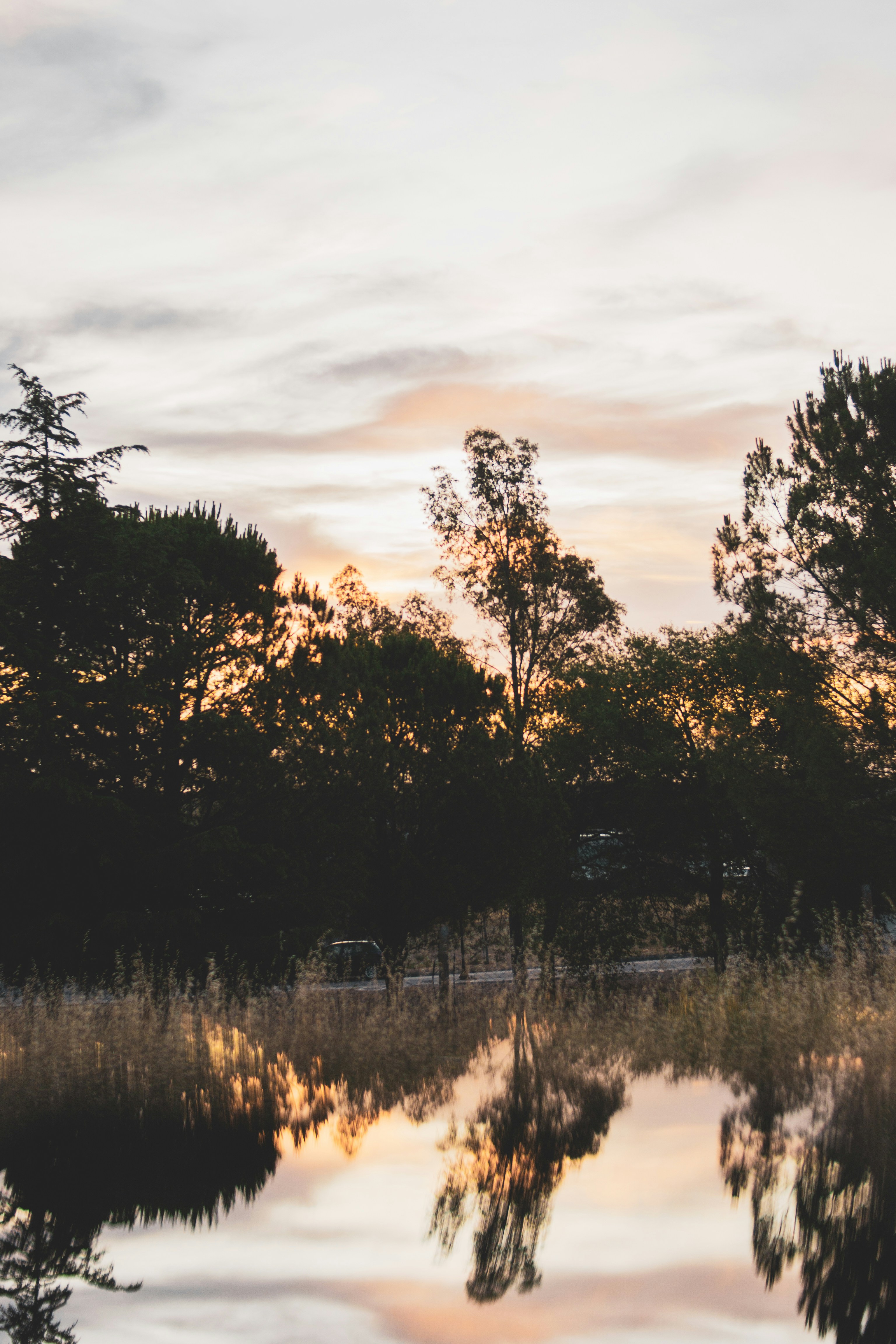 Photo by agustinfernandez