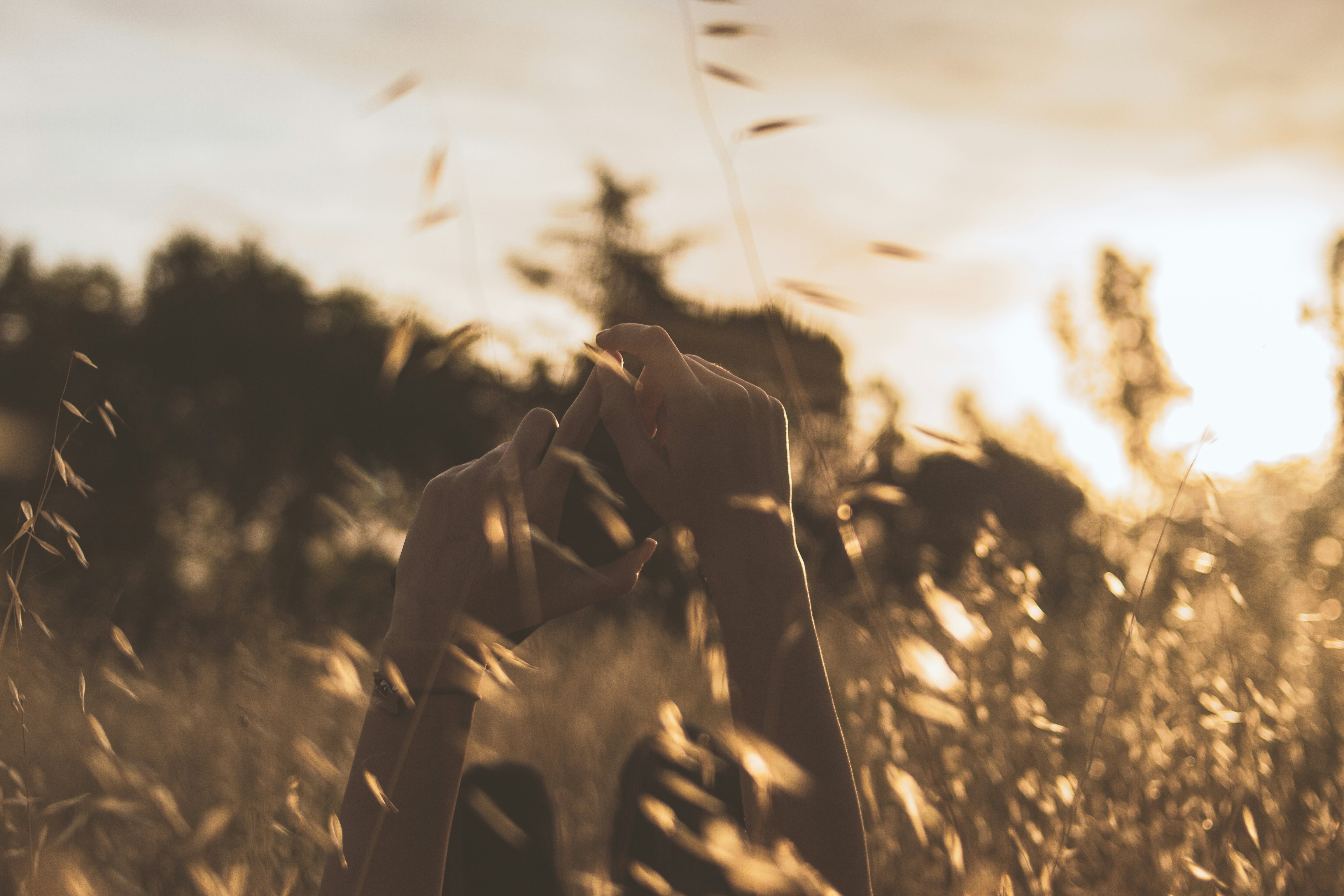 a person standing in a field of tall grass