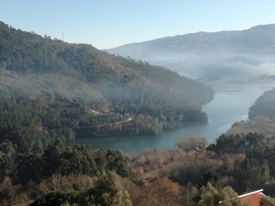 green trees on mountain near body of water during daytime in Gerês Portugal