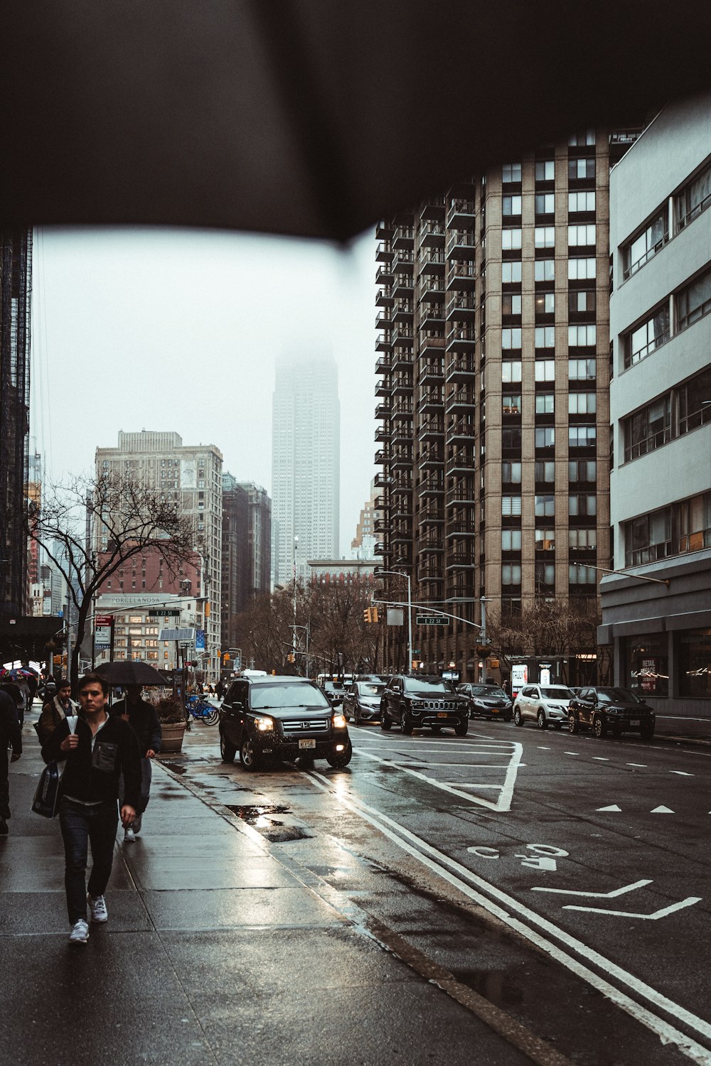 people walking on pedestrian lane during daytime