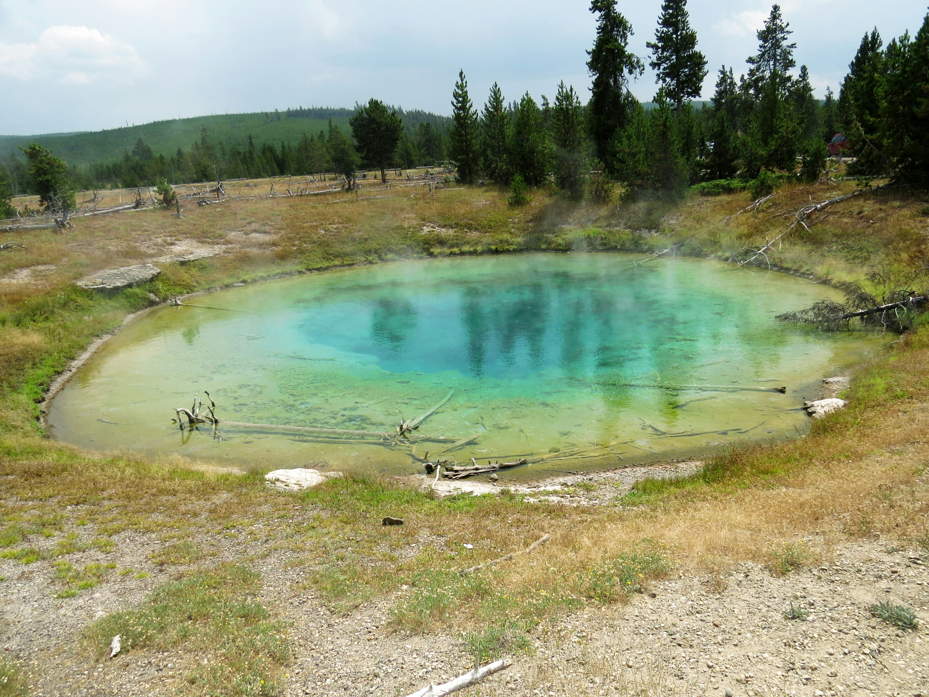 Acid-Resistant Vegetation in Crater Lakes (image credits: unsplash)