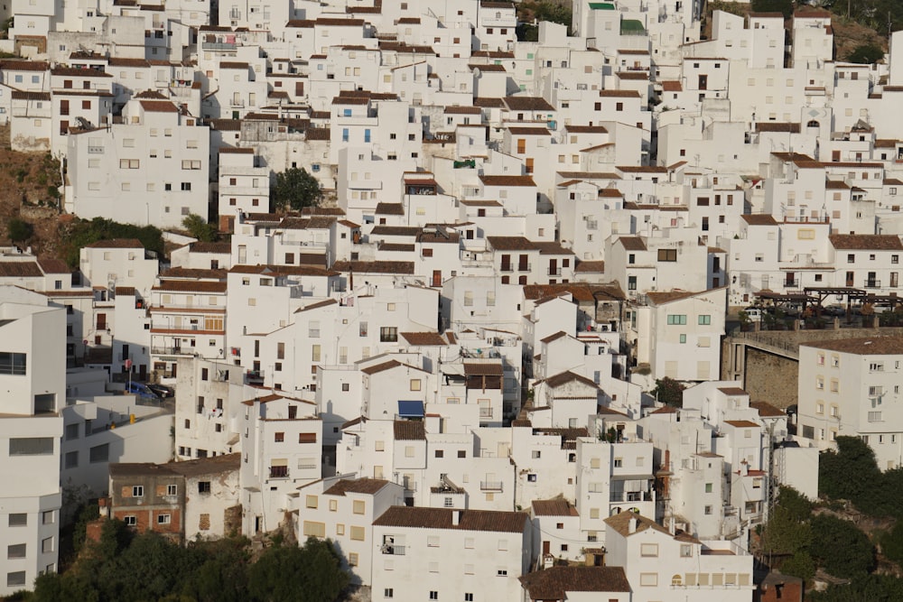 white concrete buildings during daytime