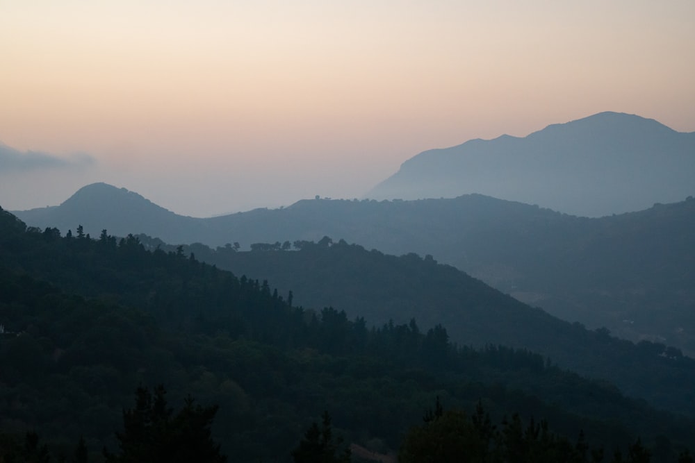 green trees on mountain during daytime