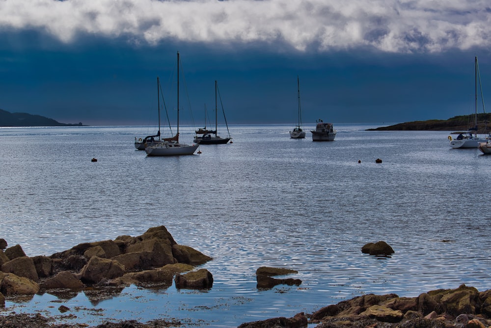 white sail boat on sea during daytime