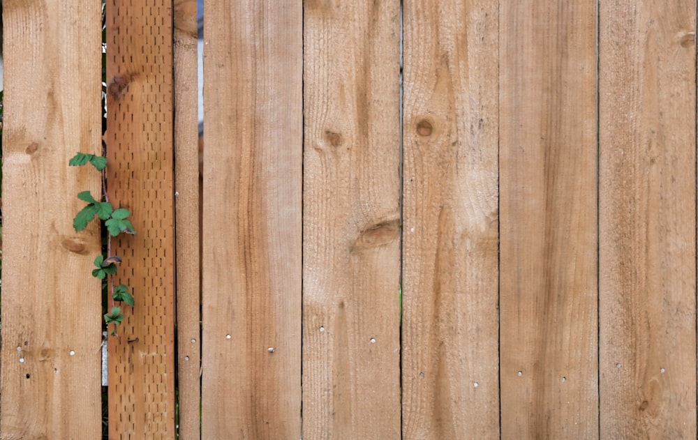 brown wooden fence during daytime