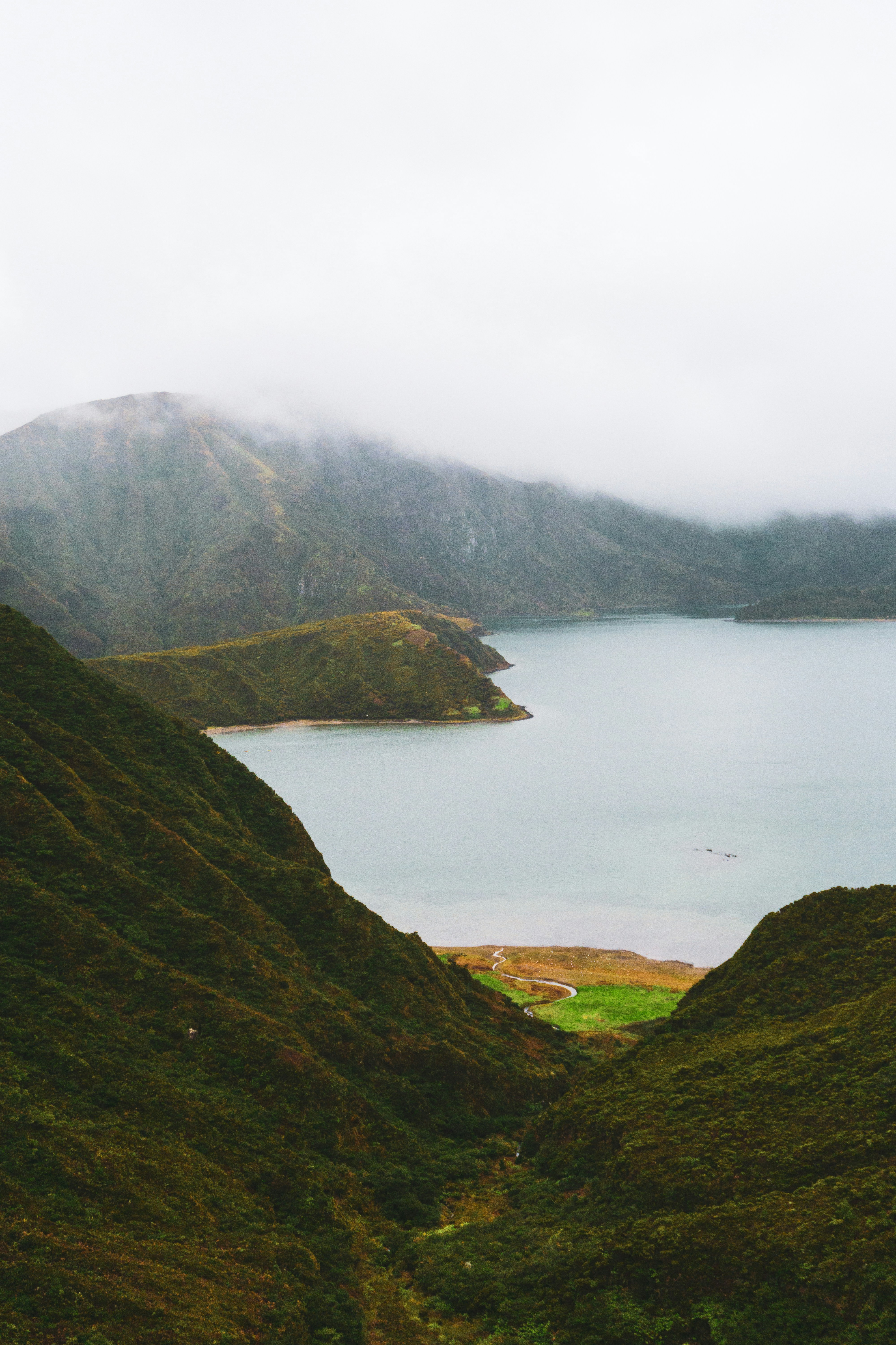 Photo by reiniskalnins