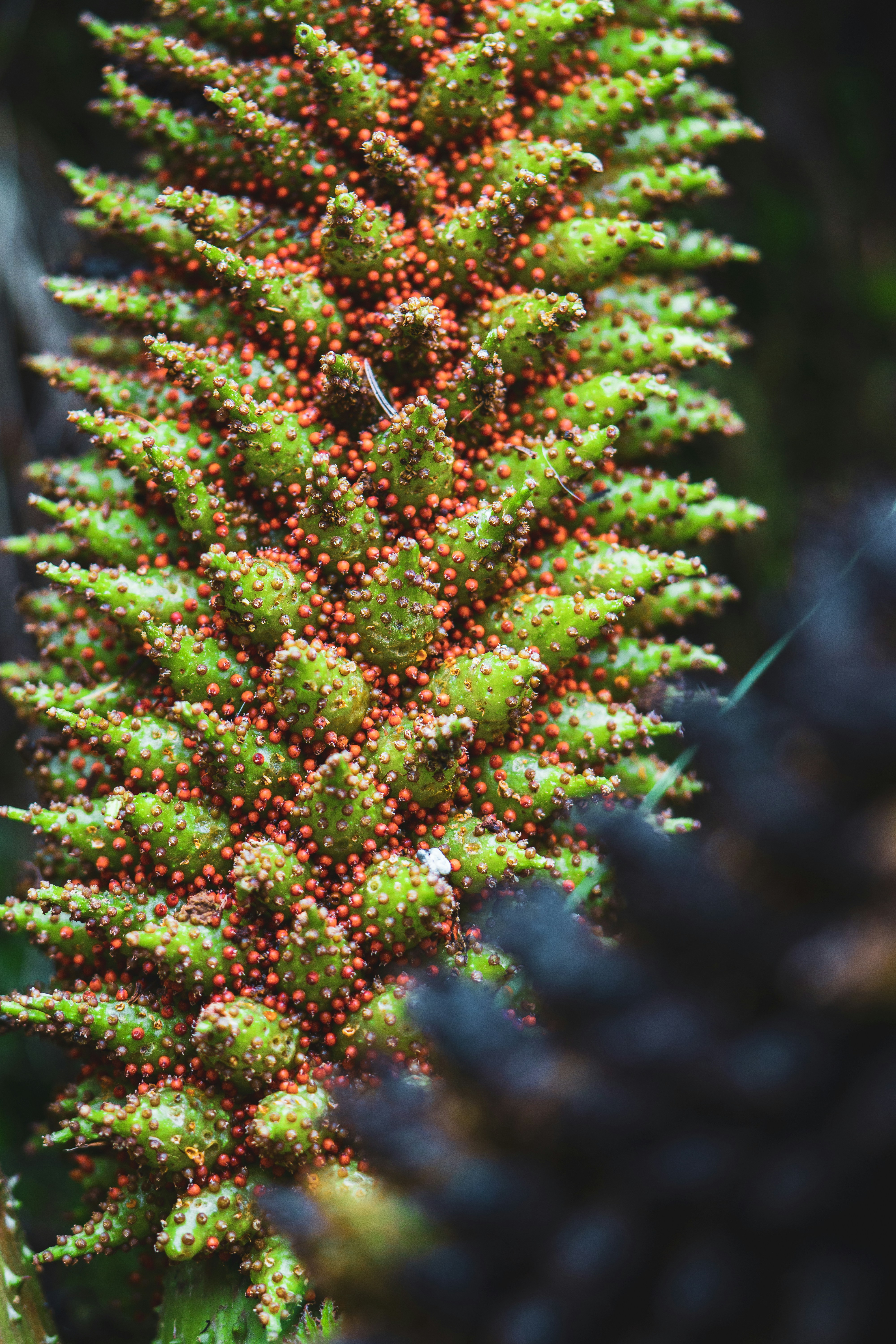 Photo by reiniskalnins