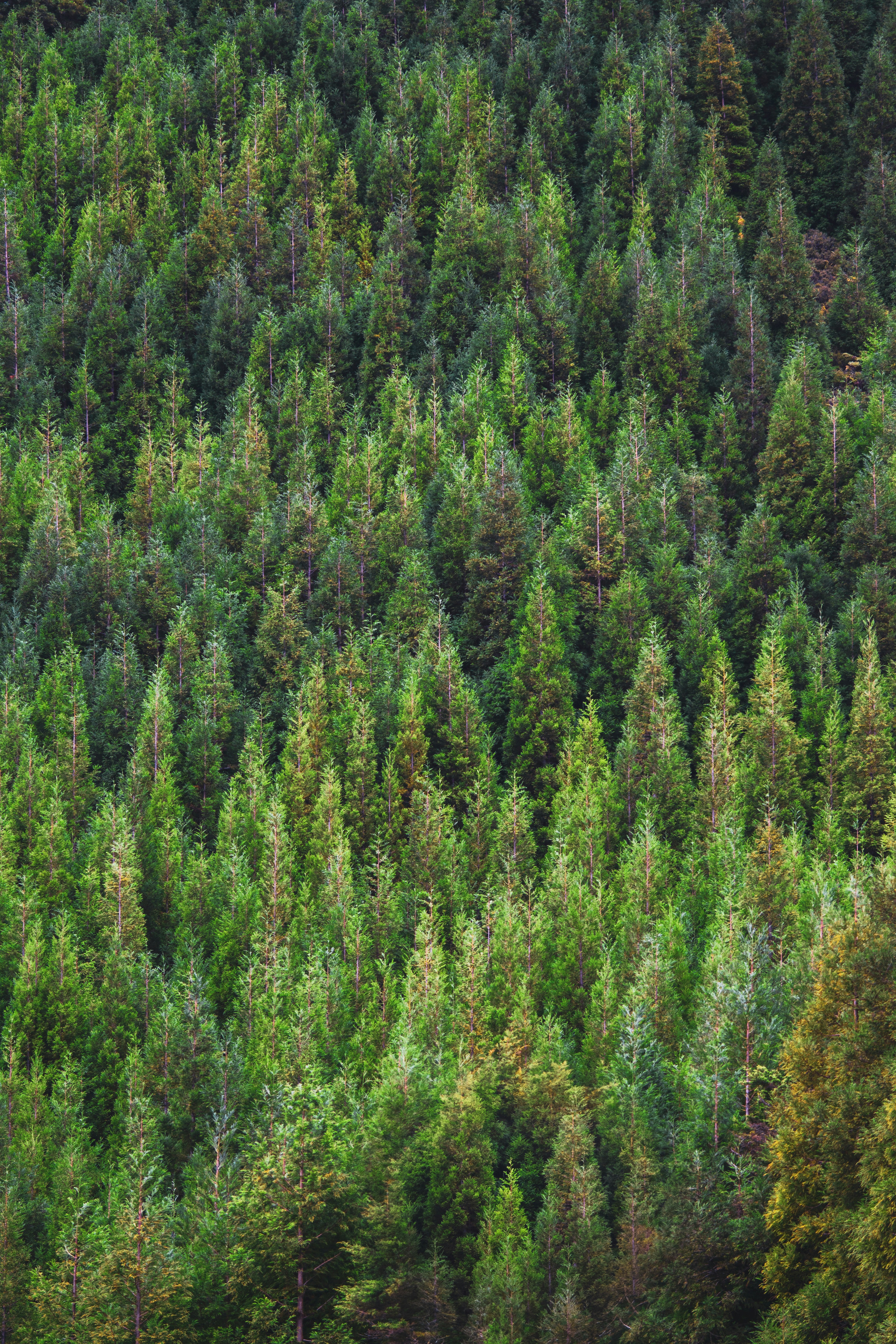 Photo by reiniskalnins