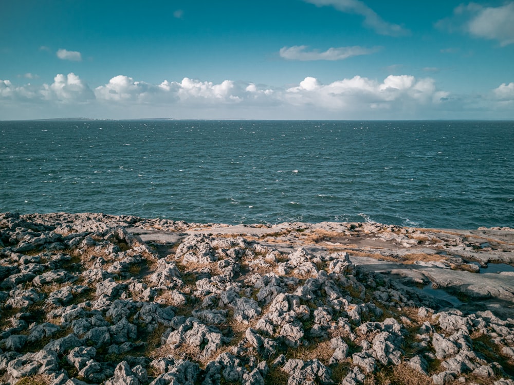 rocky shore under blue sky during daytime