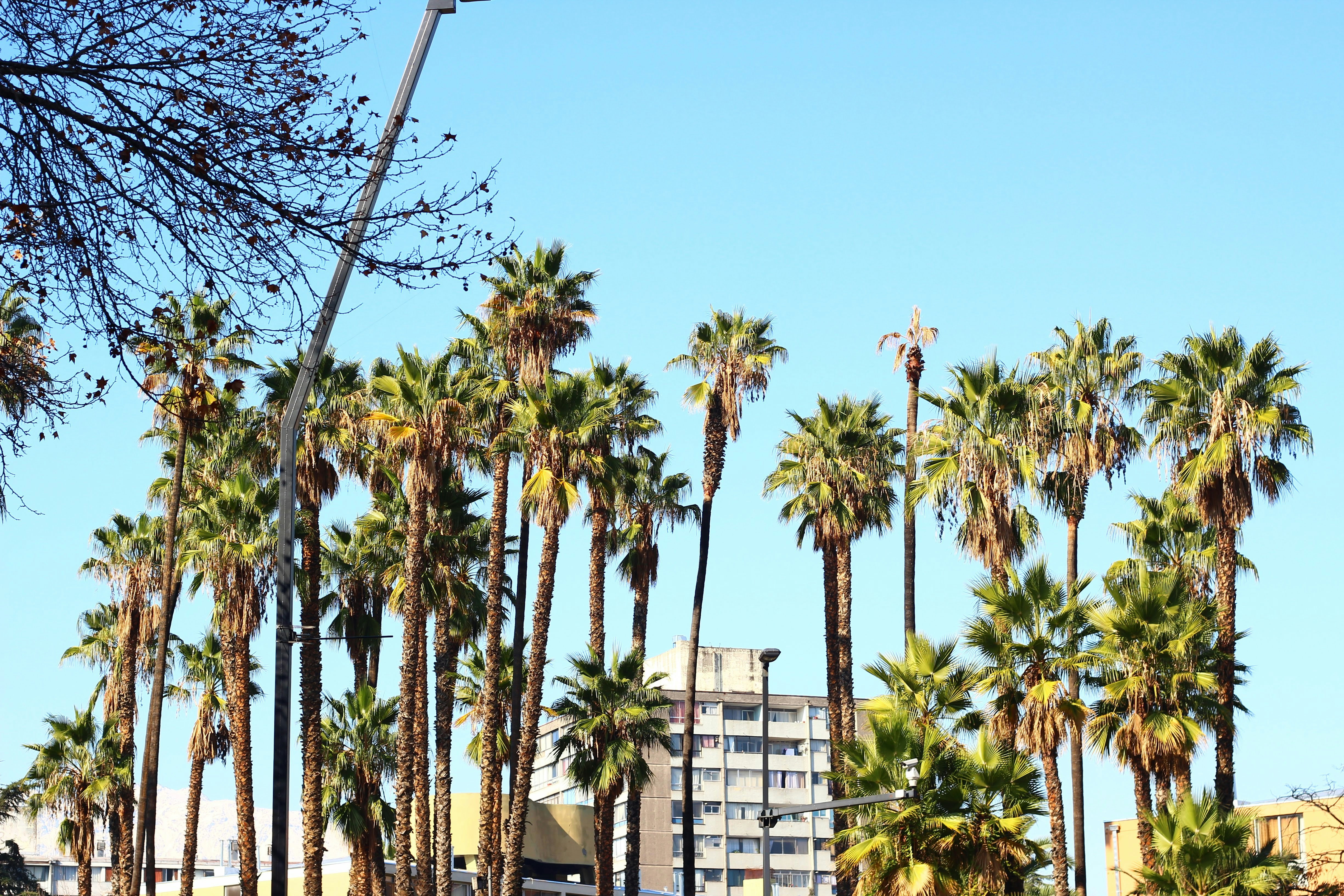 Photo by nathanareboucas