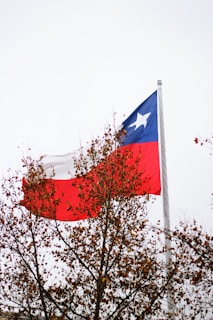 red blue and white flag on white pole