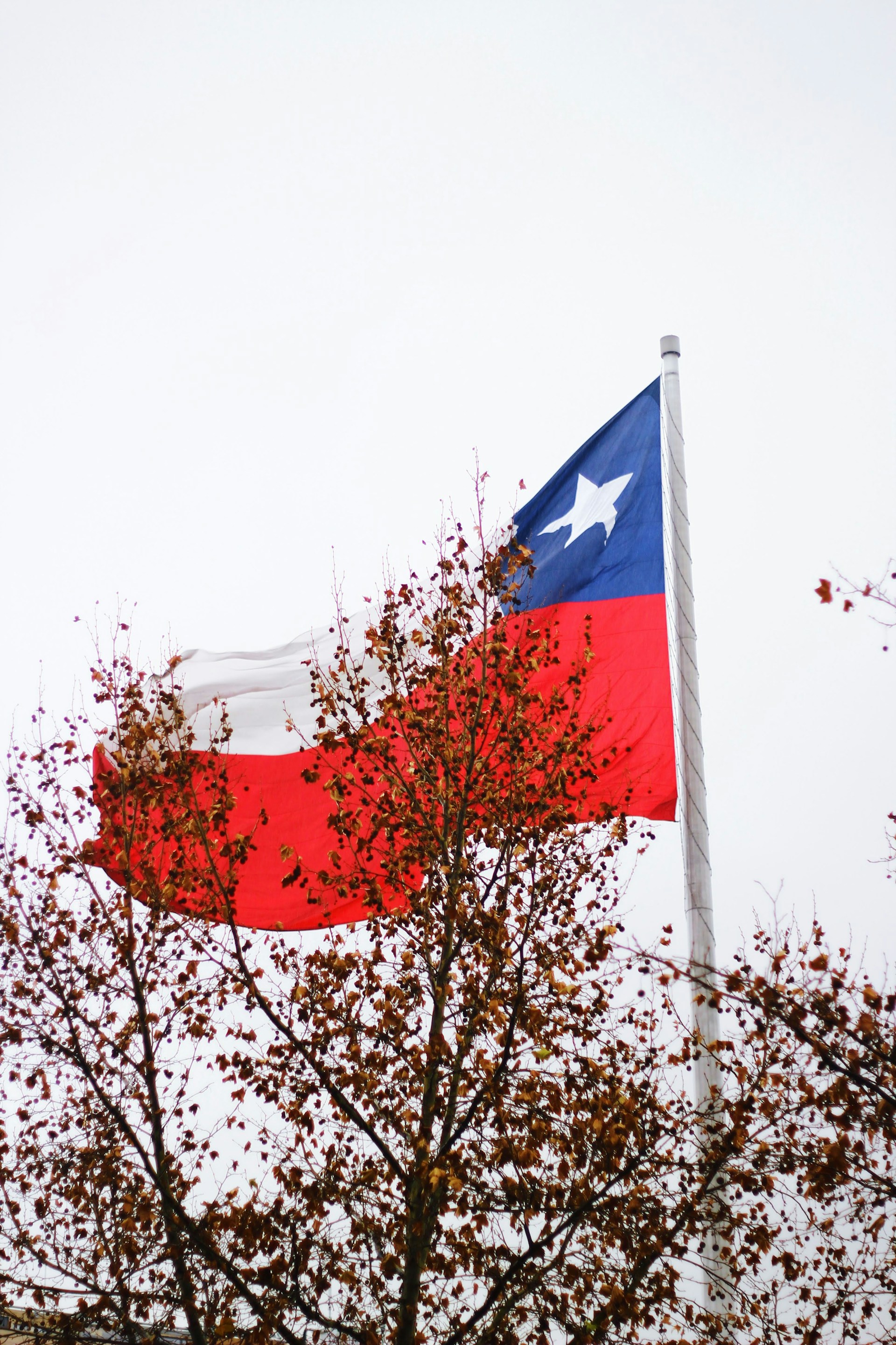 red blue and white flag on white pole