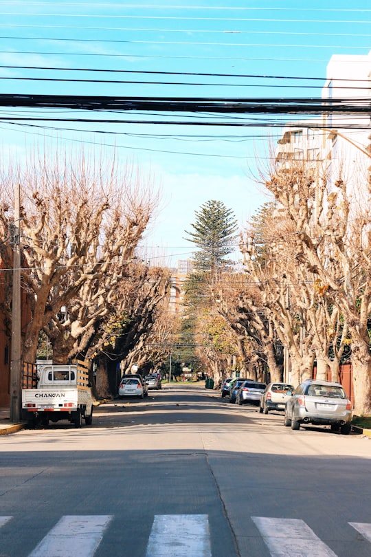 cars parked on parking lot during daytime in Viña del Mar Chile