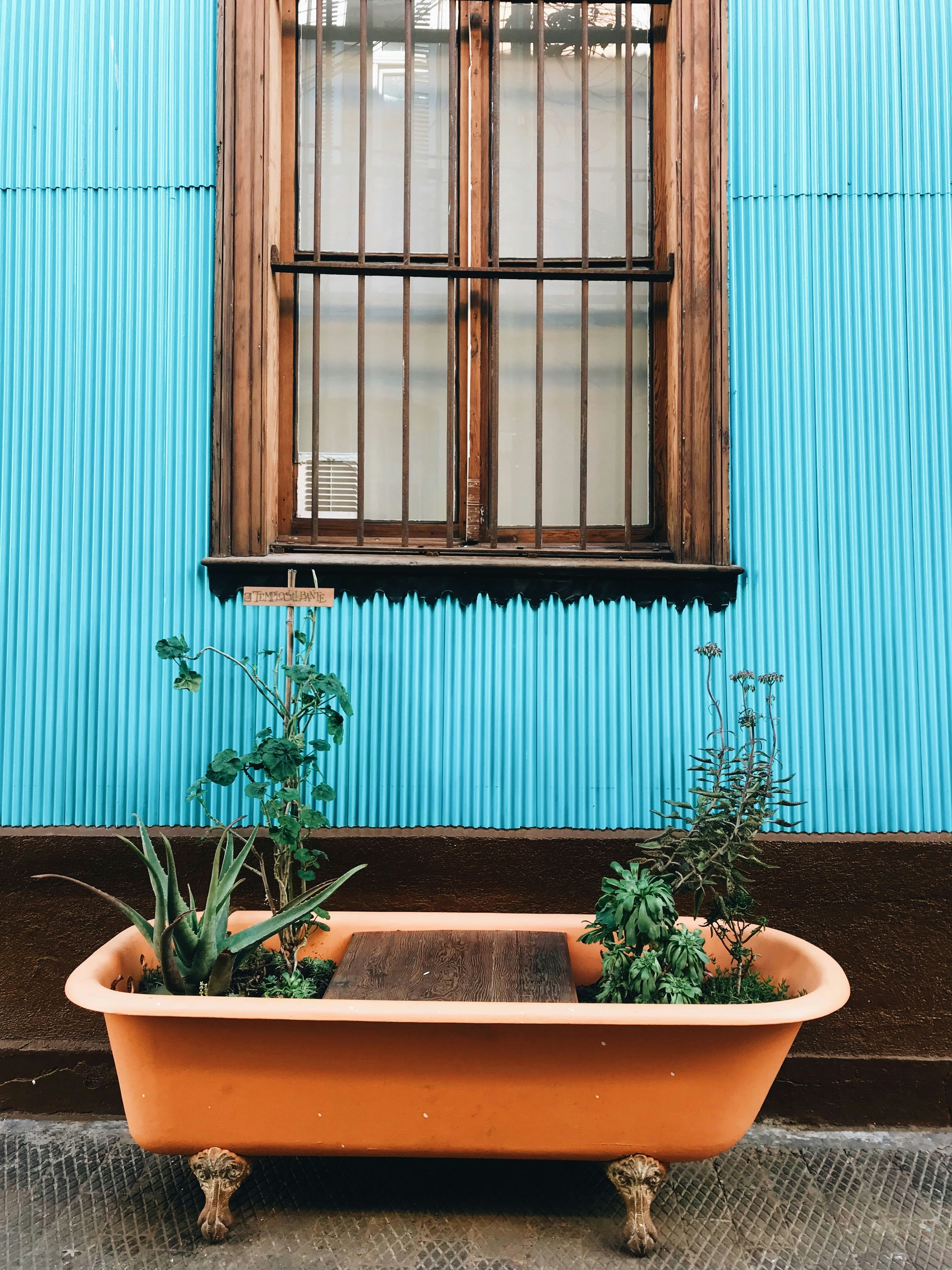 Photo by nathanareboucas