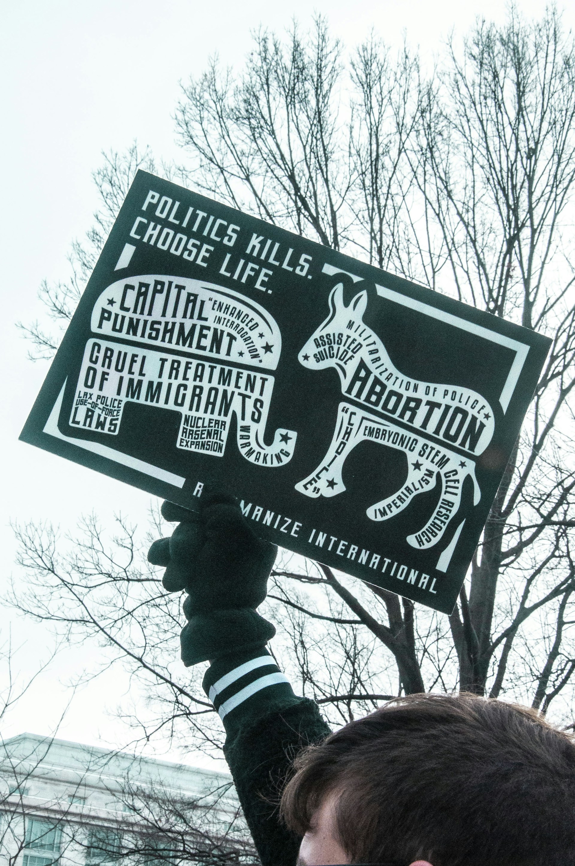 A person holds a protest sign with various political messages including themes of capital punishment, abortion, and immigration. The sign is shaped like a donkey and contains text advocating against certain political actions. Bare tree branches and an overcast sky form the background.